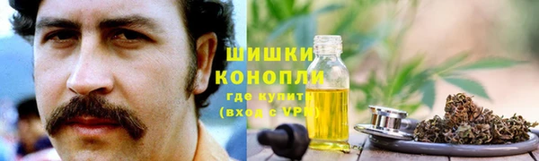 дживик Иннополис