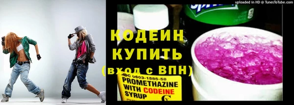 дживик Иннополис