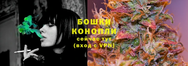 дживик Иннополис
