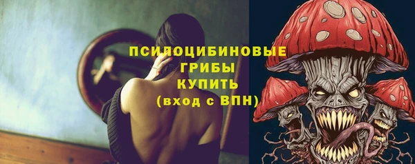 дживик Иннополис