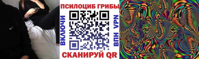 Купить где  Зеленокумск  Галлюциногенные грибы GOLDEN TEACHER 